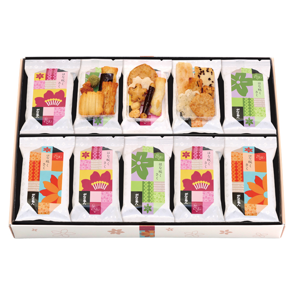 񂱐El ͂ȍ炭 (HS-20)